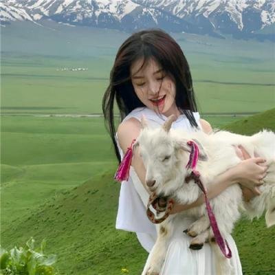 寂静的山林